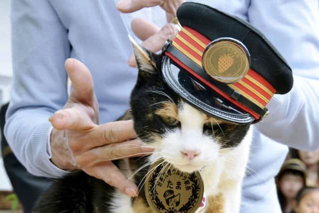 Tama had a special cap made while serving as stationmaster. Picture: AP
