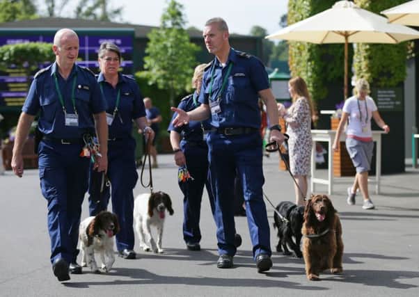 Security officers with their dogs patrol the grounds before the start of Wimbledon. Picture: AP
