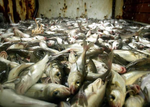 Several fishing associations have joined forces to lobby the Scottish Government for measures to safeguard the industry. Picture: PA