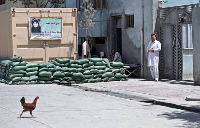 Najib Malikzada, the murdered woman's brother, outside his Kabul home. Picture: AP