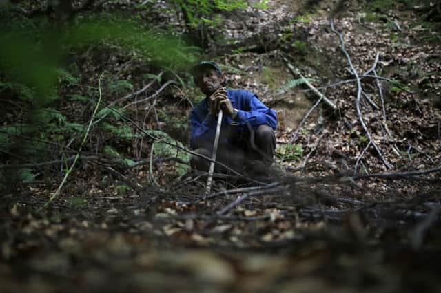 Ramiz Nukic searches for the remains of his father and younger brother in the woods around Srebrenica. Picture: AP