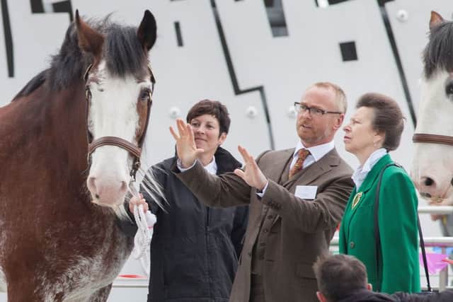 Princess Anne officially opens The Kelpies in Helix Park, Falkirk. Picture: Hemedia