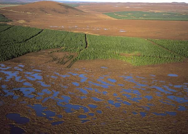 The Flow Country stores 400 million tonnes of carbon which, if released, would contribute to global warming. Picture: RSPB