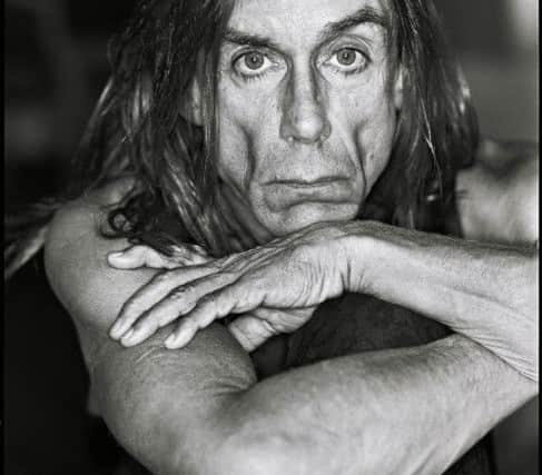 Iggy Pop, by Hamish Brown. Picture: Retina