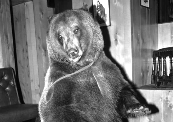 Hercules the bear pictured at the Sheriffmuir Inn in 1980. Picture: TSPL