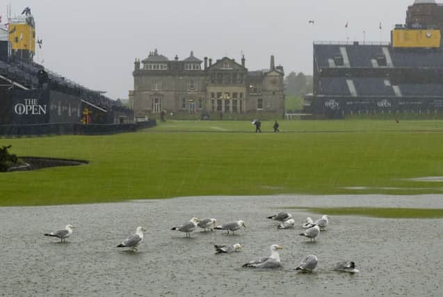 Ideal conditions for the gulls on the first fairway. Picture: Ian Rutherford