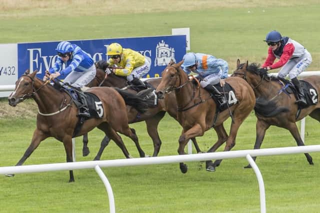Poplar Close wins the second race at Musselburgh. Picture: Phil Wilkinson