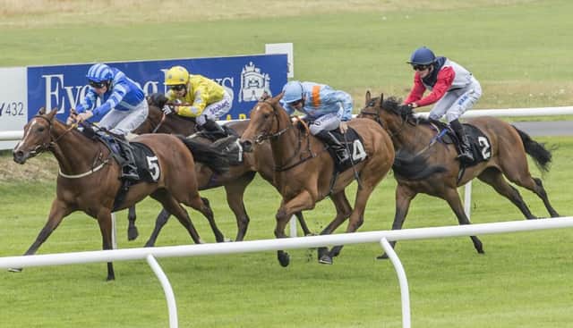 Poplar Close wins the second race at Musselburgh. Picture: Phil Wilkinson