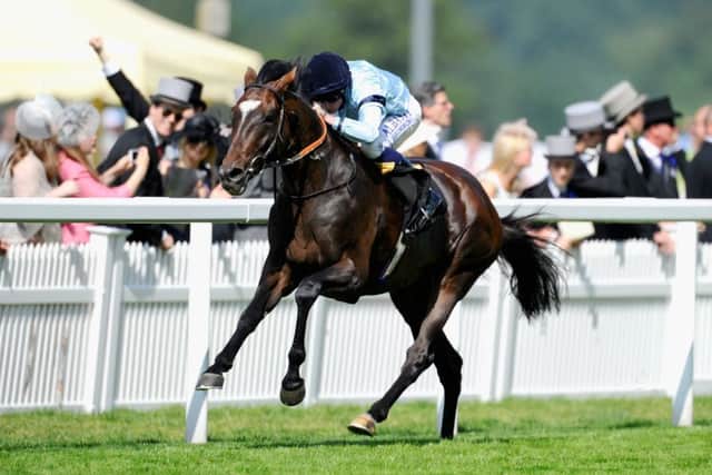 Telescope has been forced out of his Ascot engagement. Picture: Getty