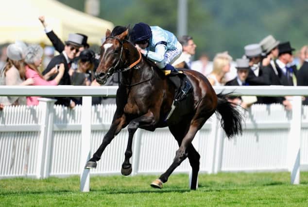 Telescope has been forced out of his Ascot engagement. Picture: Getty