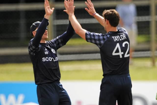 Scot Rob Taylor celebrates with Richie Berrington after taking a wicket. Picture: Sportsfile