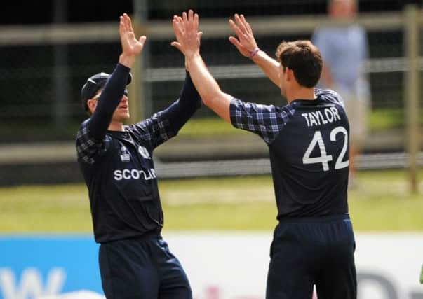 Scot Rob Taylor celebrates with Richie Berrington after taking a wicket. Picture: Sportsfile