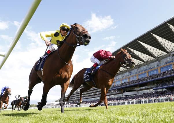 Postponed, left, stages a late rally to win the King George VI Stakes at Ascot by a nose from Eagle Top. Picture: Getty Images