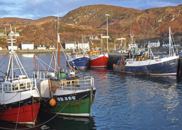 Mallaig harbour is typical of much of the Scottish fishing industry, small-scale but integral to the survival of rural communities. Picture: David Linkie