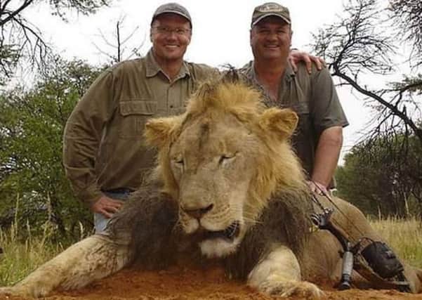 A bespectacled Walter James Palmer, a dentist by profession, poses with another dead lion killed on safari. Picture: Rex Features