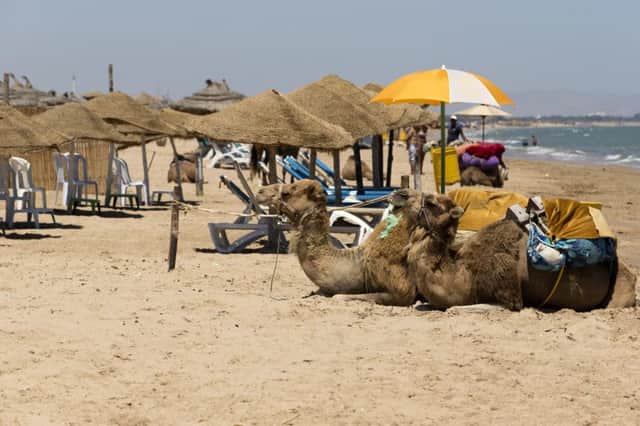 A Tunisian beach earlier this month. The terror attack and subsequent travel warning will cost Thomas Cook about 39m