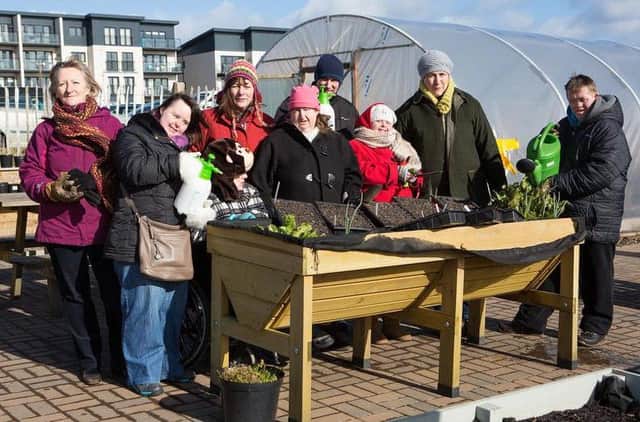 Edinburgh Colleges community garden hosts visitors from Fisherrow hub, an example of how the college acts as a green resource
