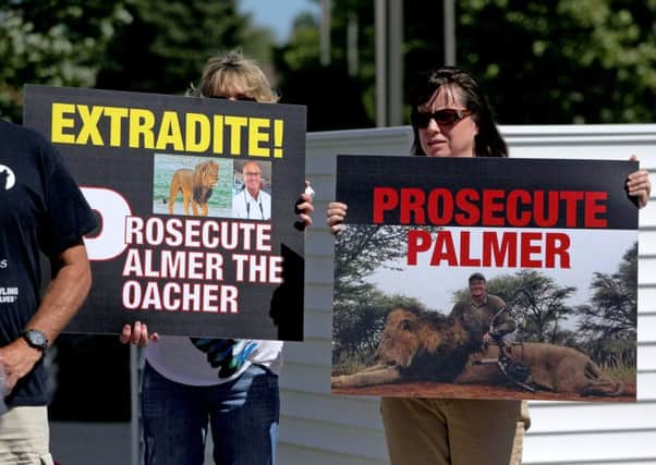 The reaction to Walter Palmers kiling of Cecil the lion has been vociferous, probably more so as he is a dentist. Picture: Getty