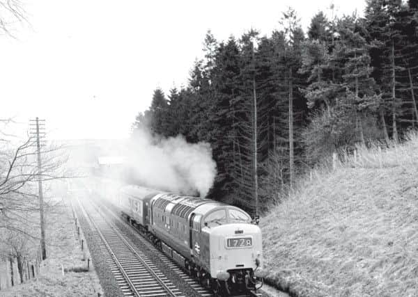 A train running on the old Waverley Line in 1969 just before it closure. Picture: Joe Steele