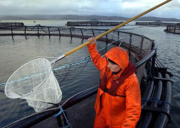 A salmon fish farm at Loch Fyne. Picture: PA