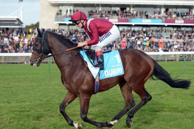 Belardo disappointed at Goodwood when ground conditions turned against him. Picture: Getty