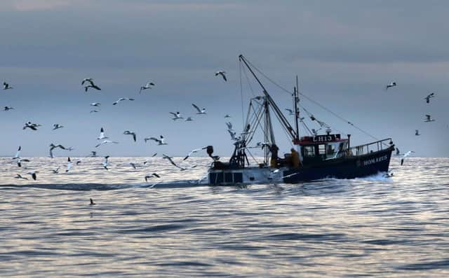 Fish may be evolving to swim faster and evade capture in trawler nets. Picture: PA