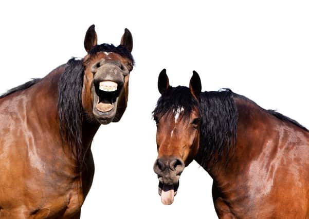 Lets face it, theres a lot of horsing about to create those expressions.  Pictures: Getty