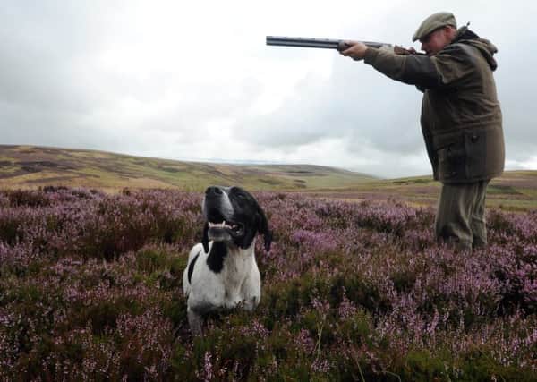 As the Glorious Twelfth approaches many shooting moors have been silenced by the weather. Picture: TSPL