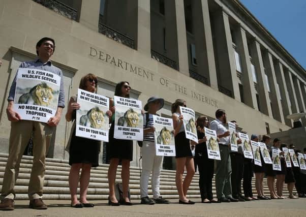People for the Ethical Treatment of Animals protesters hold pictures of Cecil the Lion in front of the US department of the interior. Picture: Getty