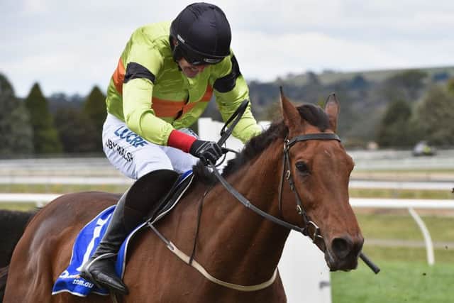 Ruby Walsh jumps the last fence on Bashboy at Ballarat racecourse in Victoria. Picture: Getty