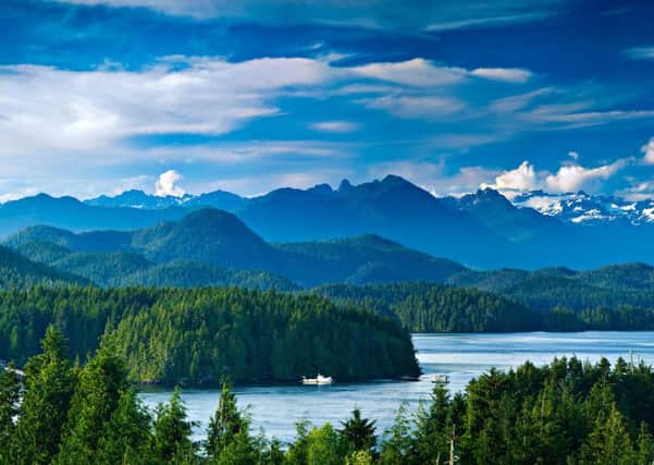 Huge swathes of the Canadian landscape  348 million hectares  are covered with forests. Picture: Mark Skalny - Fotolia
