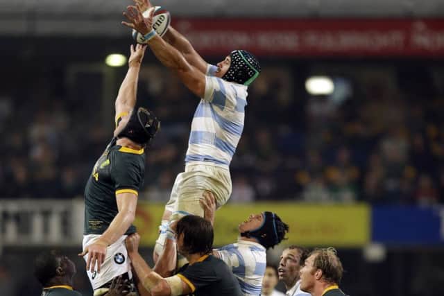 Argentina played with a passion and spirit that South Africa could not match. Picture: AP