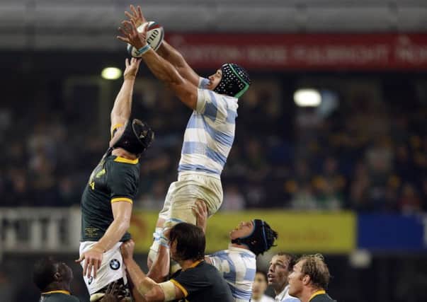 Argentina played with a passion and spirit that South Africa could not match. Picture: AP