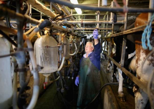 Farmers fear going out of business as costs far outweigh the price they get for their milk. Picture: Getty