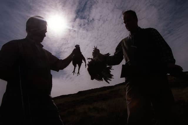 Chefs and estate workers are hopeful of putting more grouse on Scottish menus. Picture: Allan Milligan
