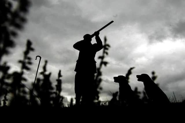 Cold weather has reduced grouse numbers this year as shooting season starts. Picture: PA