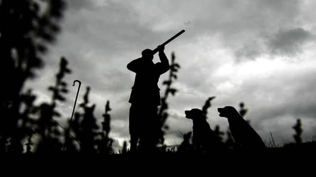 Cold weather has reduced grouse numbers this year as shooting season starts. Picture: PA