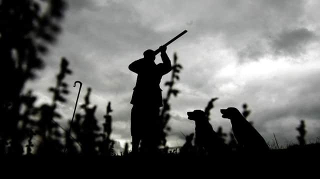 Cold weather has reduced grouse numbers this year as shooting season starts. Picture: PA