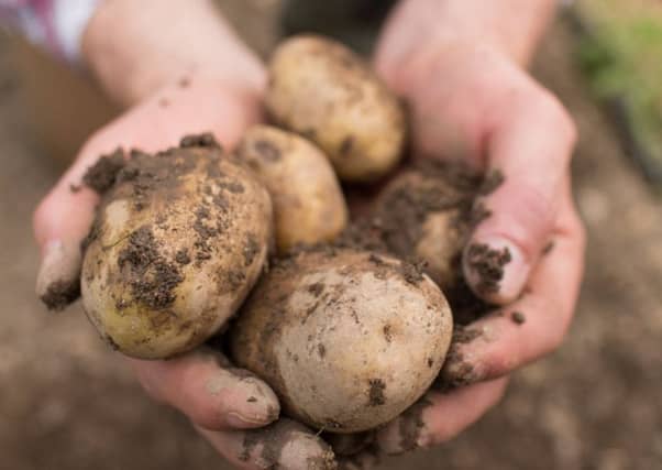 Unless weather improves, the growing season will be washout. Picture: PA