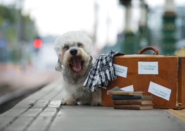 A Dandie Dinmont Terrier at Waverley. Tourism chiefs hope interest in Walter Scott will draw visitors to the Borders Railway. Picture: PA