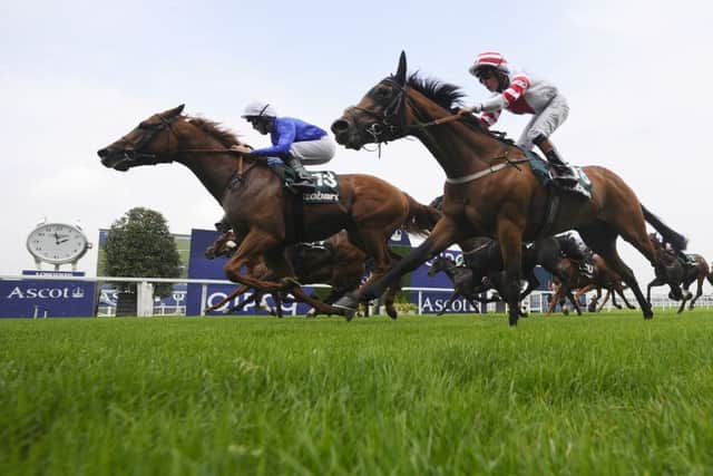 Safety Check, left, can land the Hungerford Stakes today. Picture: Getty