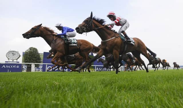 Safety Check, left, can land the Hungerford Stakes today. Picture: Getty
