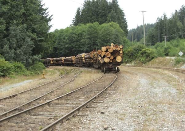 Logs are already transported from forests in countries such as New Zealand, Norway and Sweden by train. Picture: Getty