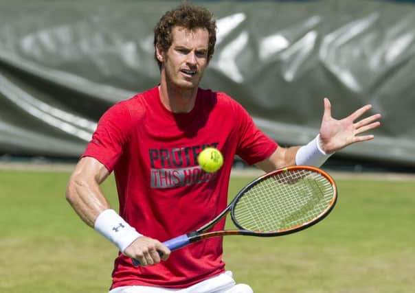 Andy Murray: Investment spree. Picture: Ian Rutherford