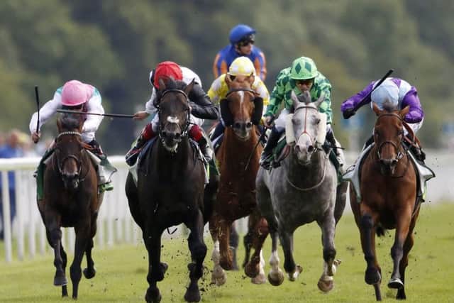 Arabian Queen, far right, gets the better of hot favourite Golden Horn to cause a 50-1 shock. Picture: Getty