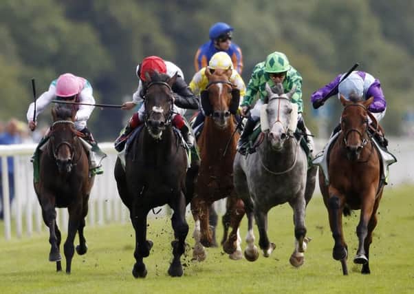 Arabian Queen, far right, gets the better of hot favourite Golden Horn to cause a 50-1 shock. Picture: Getty