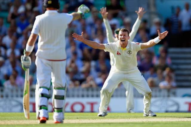 Impressive Australian bowler Peter Siddle appeals for a wicket on day two at The Oval. Picture: Getty
