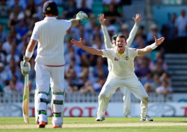 Impressive Australian bowler Peter Siddle appeals for a wicket on day two at The Oval. Picture: Getty