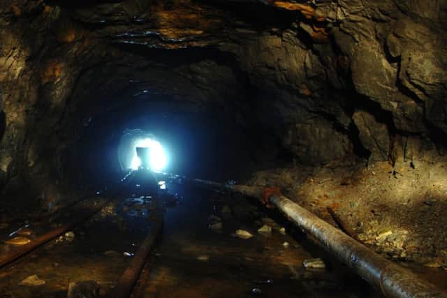 Chairman Nat Le Roux said the miner was making significant progress. Picture: Robert Perry