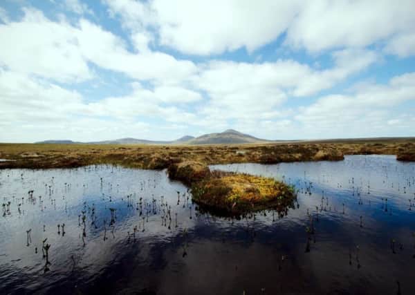 Up to 90 per cent of Scotlands peatland has been damaged by agricultural drainage and forestry plantation, Scottish Natural Heritage has warned. Picture: Contributed
